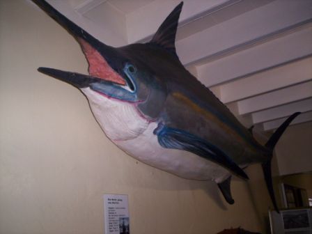 vissery-museum